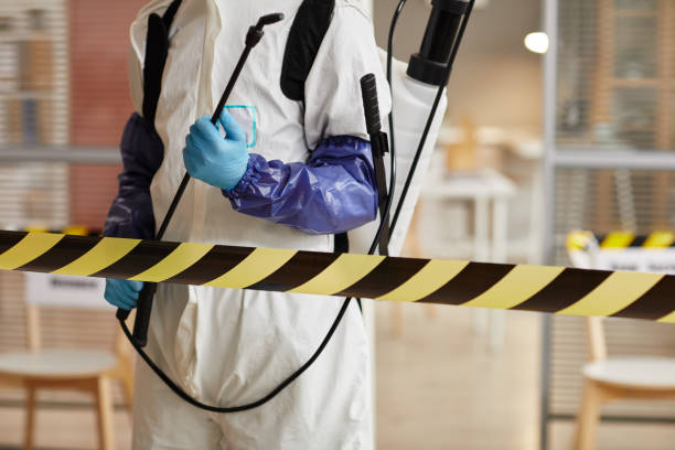 Professional Hoarding Cleanup technician working in Cookstown, NJ